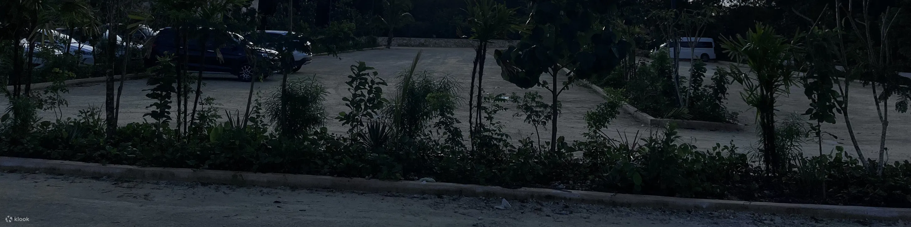 免排队前往图卢姆的门票