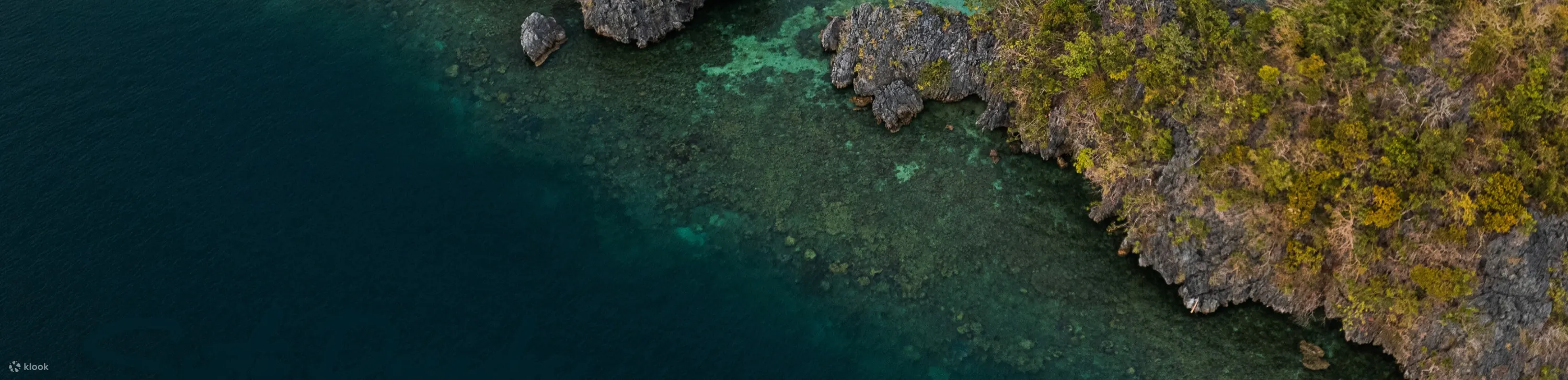 在 Siete Pecados 生气勃勃的珊瑚花园中浮潜，这里是各种海洋生物的家。