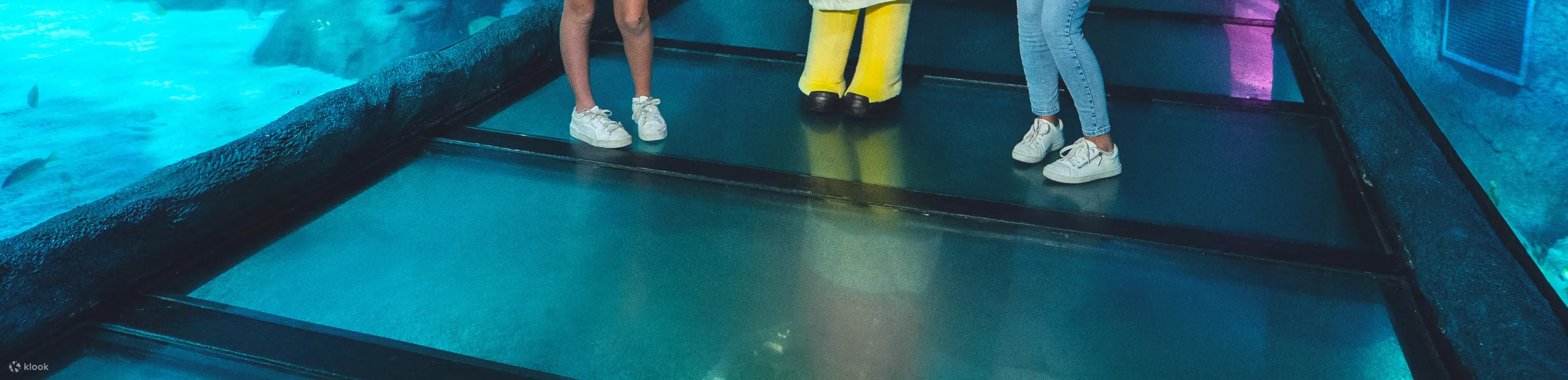 雪梨海洋生物水族馆门票