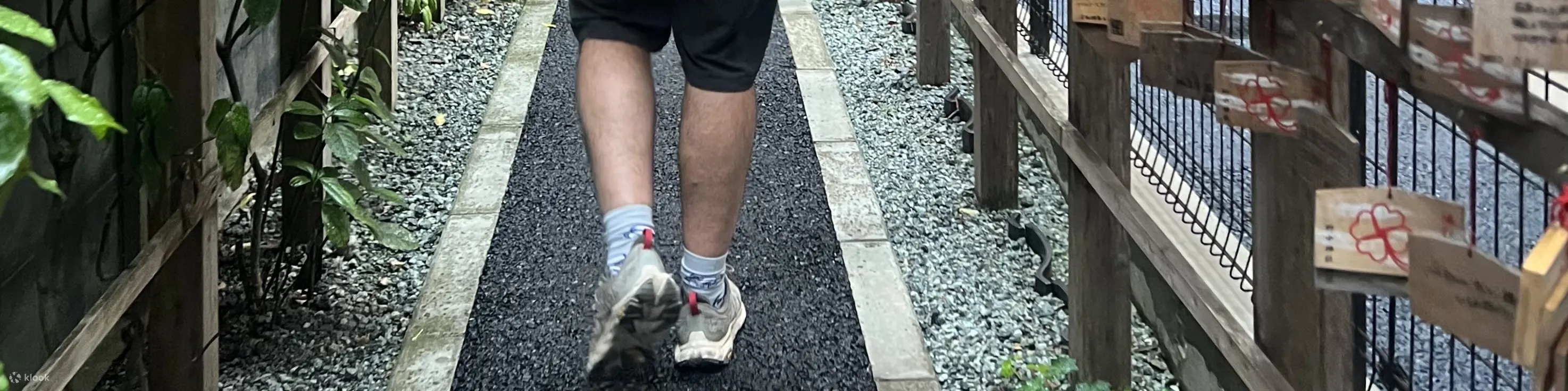 仙台本地美食之旅，漫步美食小镇