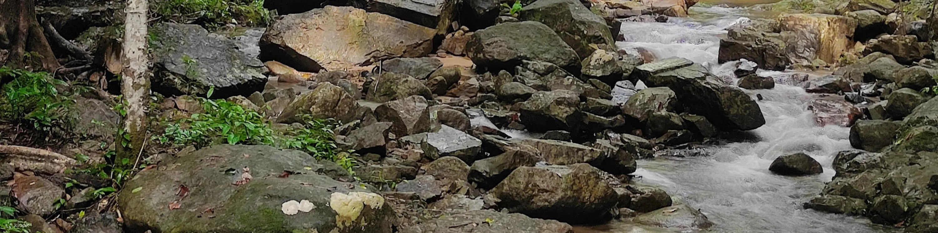 Krabi Elephant Care House with Huay Tho Waterfall