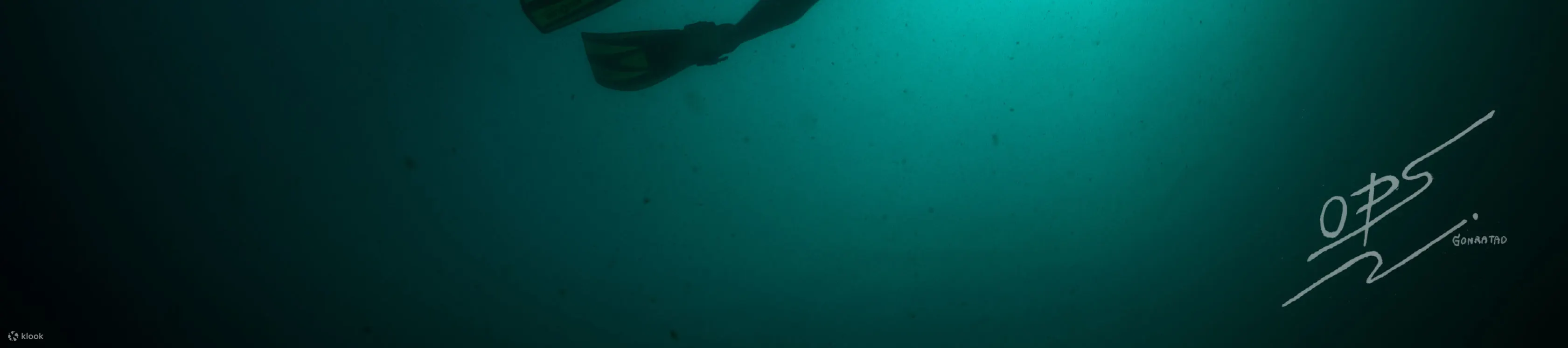 PADI 高级开放水域潜水员