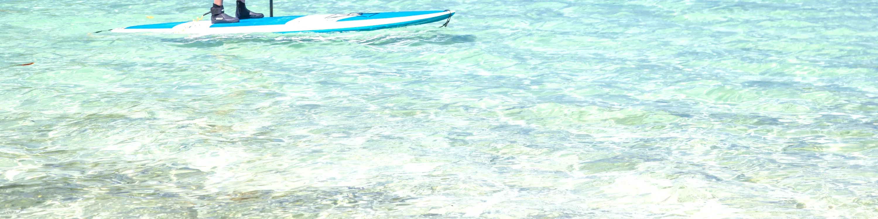 [石垣岛/半天] 濑川平湾 可选择SUP/独木舟（冲绳）