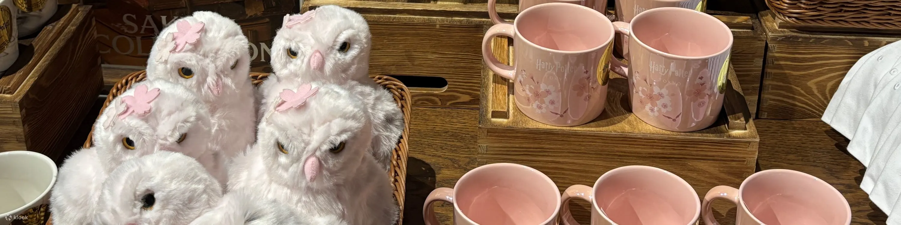 Warner Bros. Studio Tour Tokyo - The Making of Harry Potter Ticket