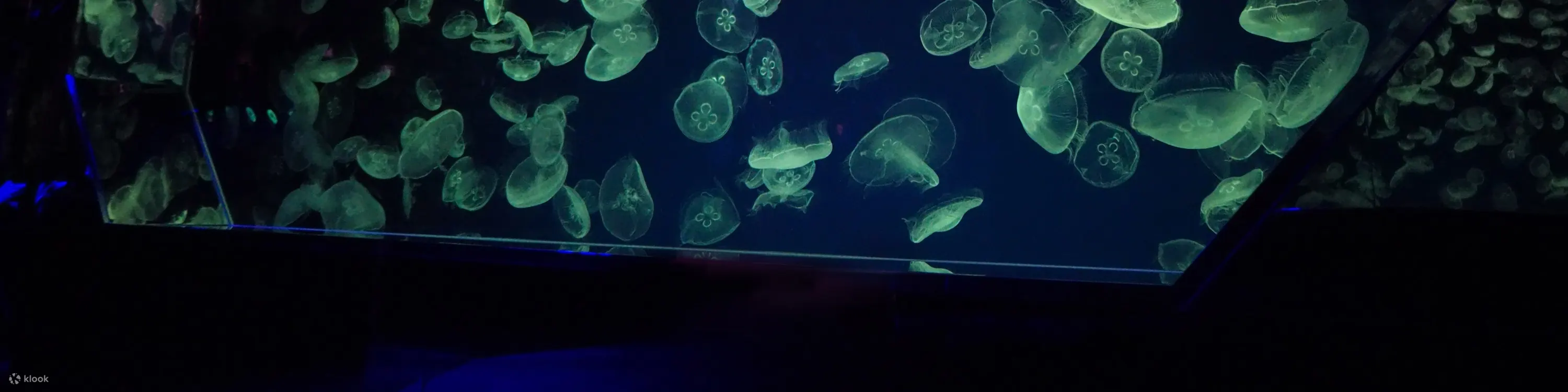 名古屋港水族馆