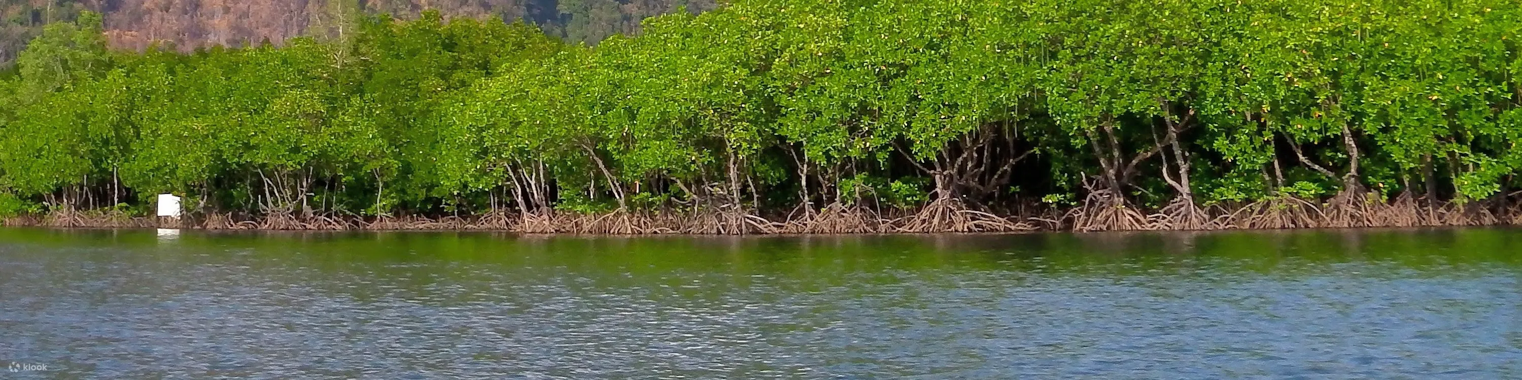 Full-Day Sea Kayaking Adventure in Ao Thalane Bay from Krabi