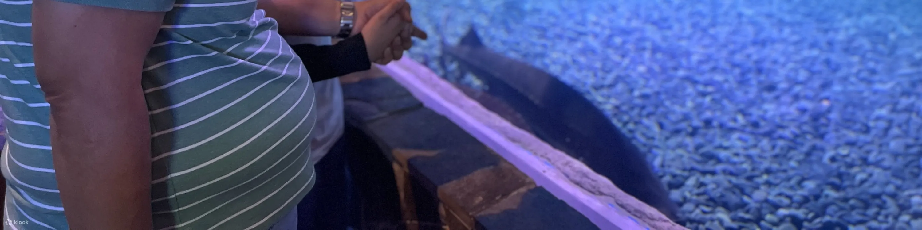 鱼缸
