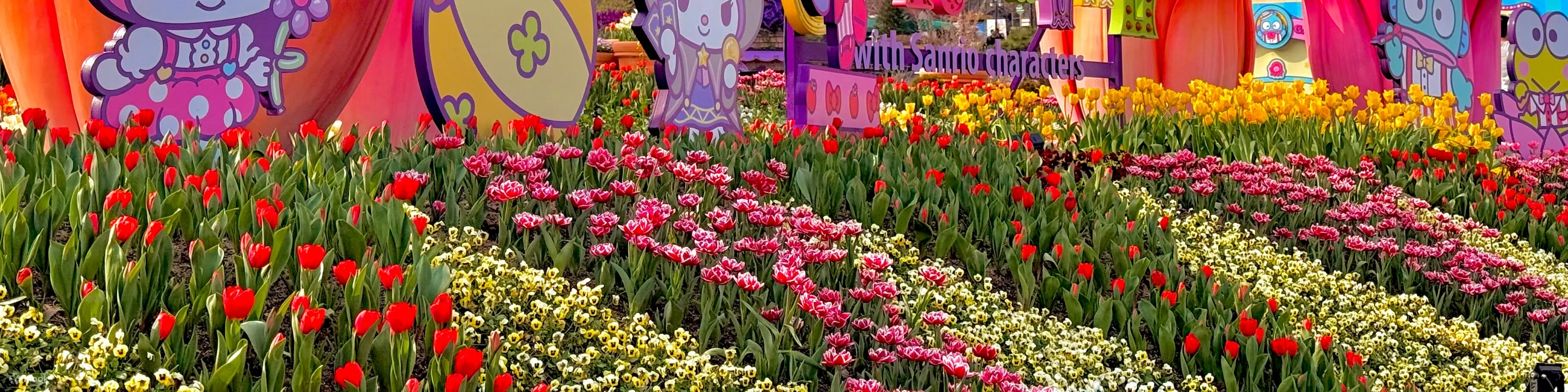 爱宝乐园门票