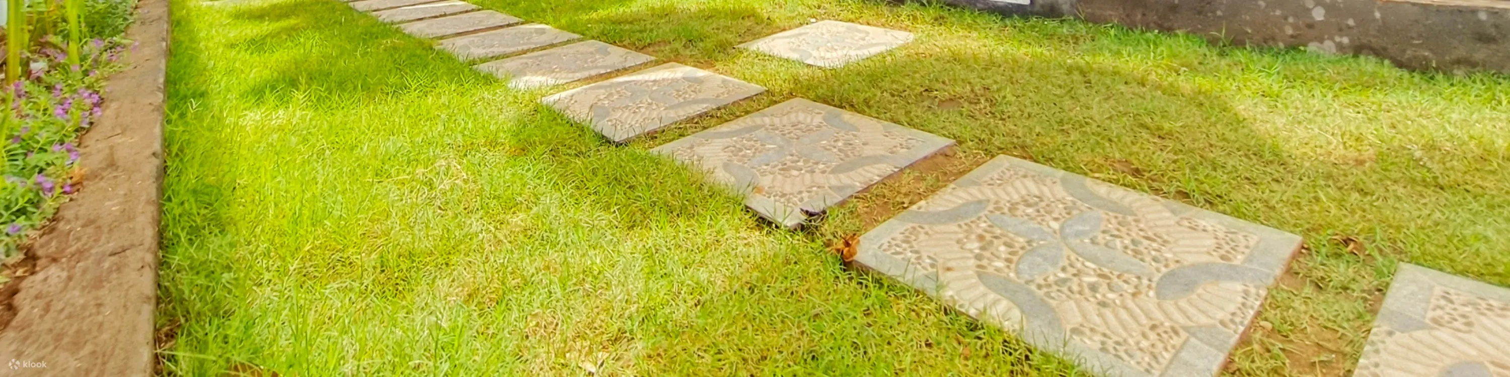 巴厘岛 水疗中心