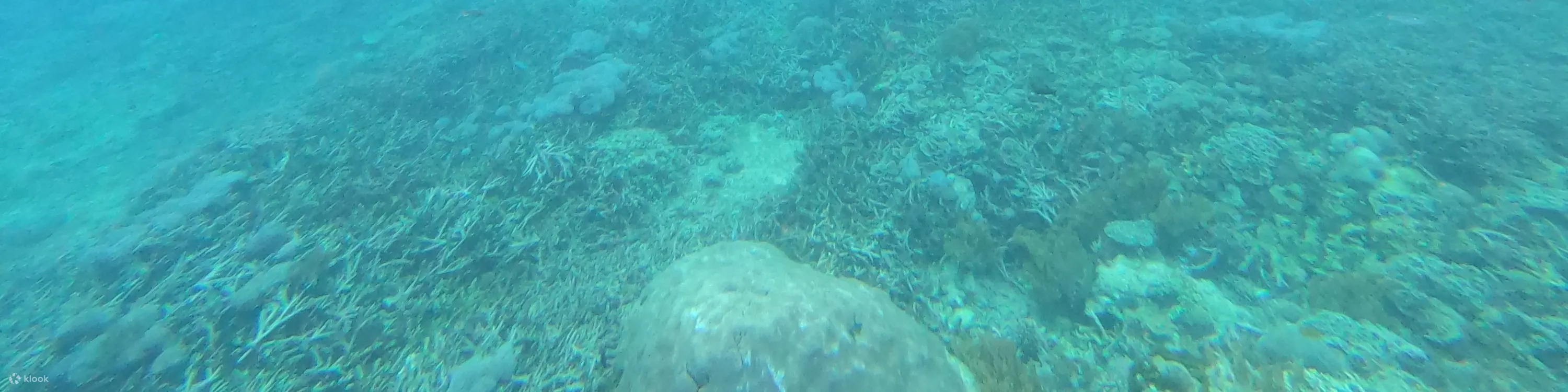 蓝梦岛活动浮潜点