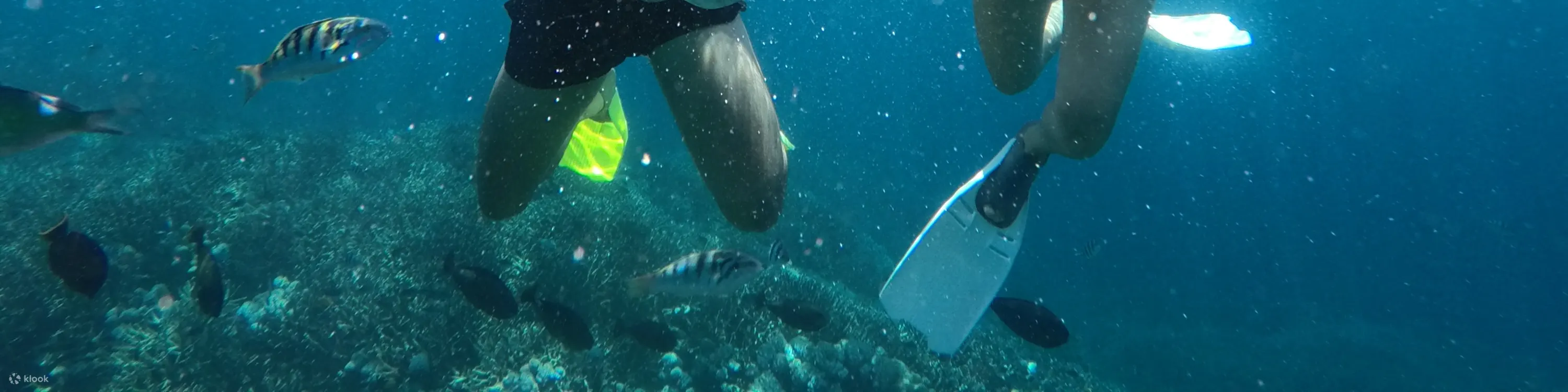 蓝梦岛活动浮潜点