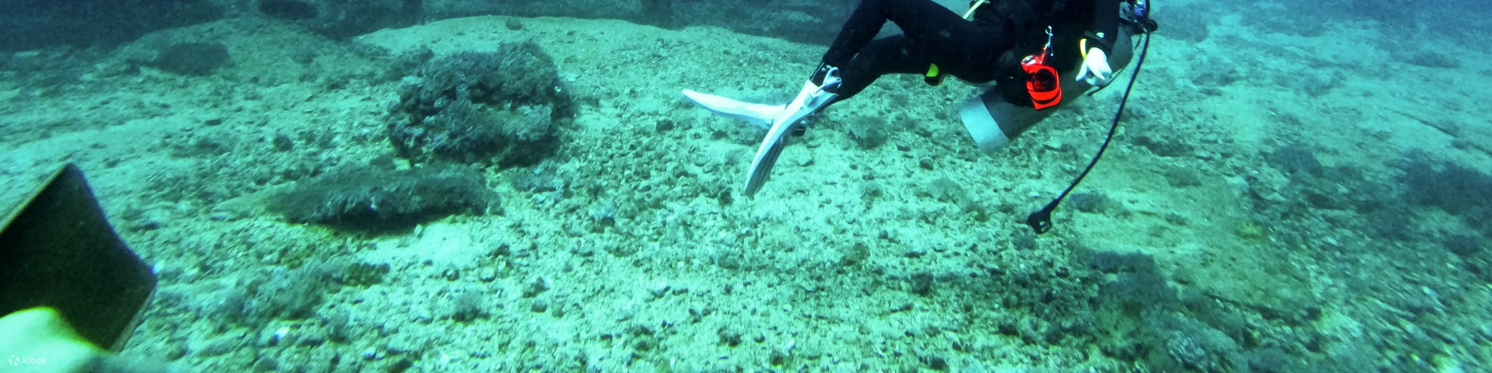 台东：绿岛火烧岛潜水中心潜水旅游套餐