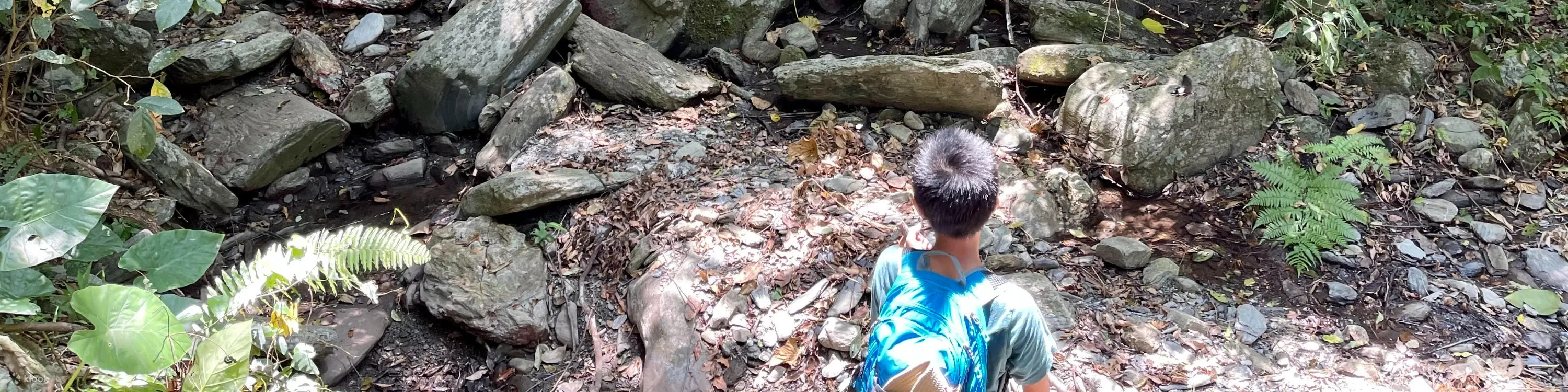 黑熊森林踏查｜台湾黑熊栖地生态解说一日游