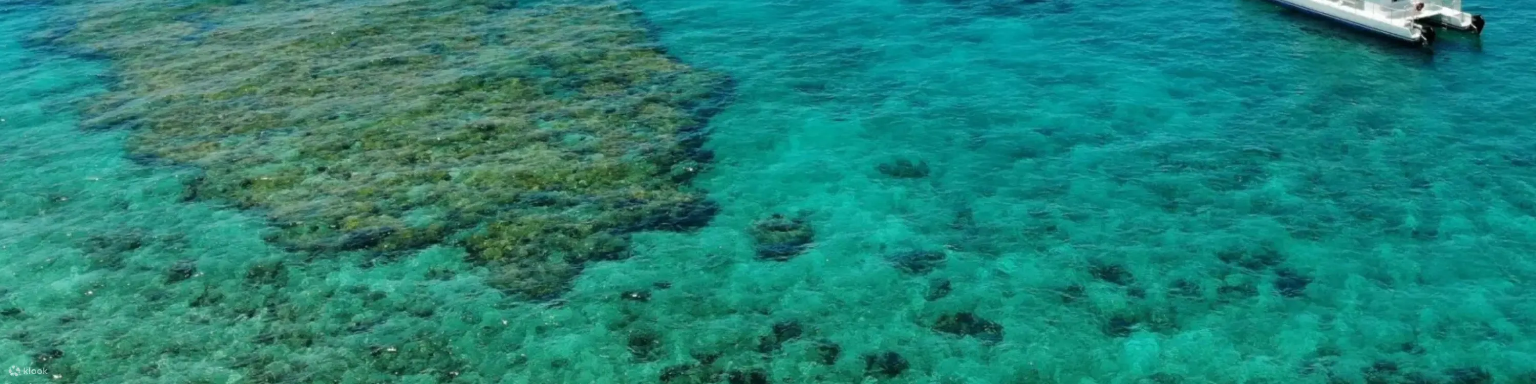 在甲板上放松身心，欣赏佛罗里达群岛的壮丽海景