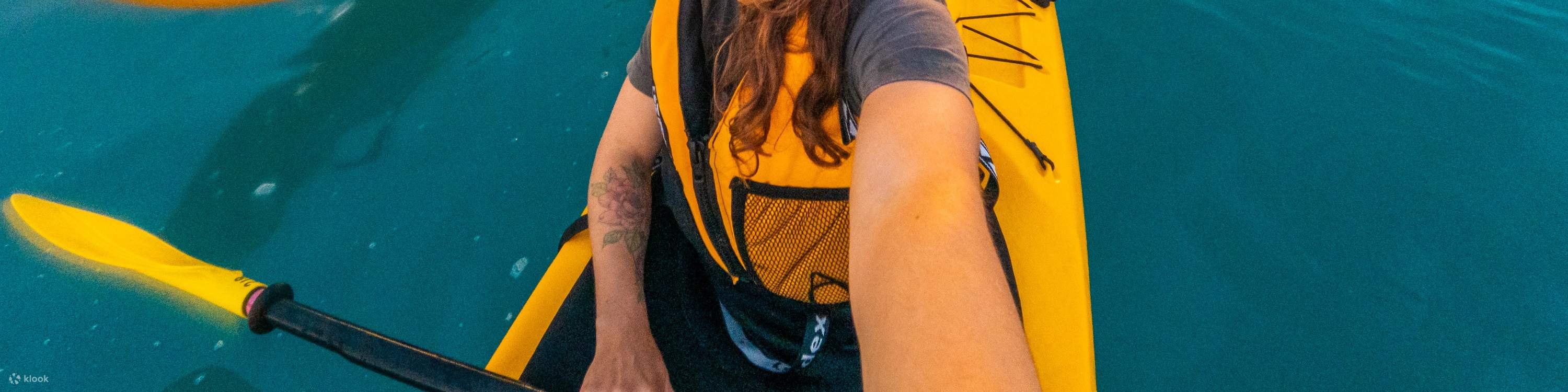 Seal Kayaking Adventure in Kaikoura, New Zealand Klook