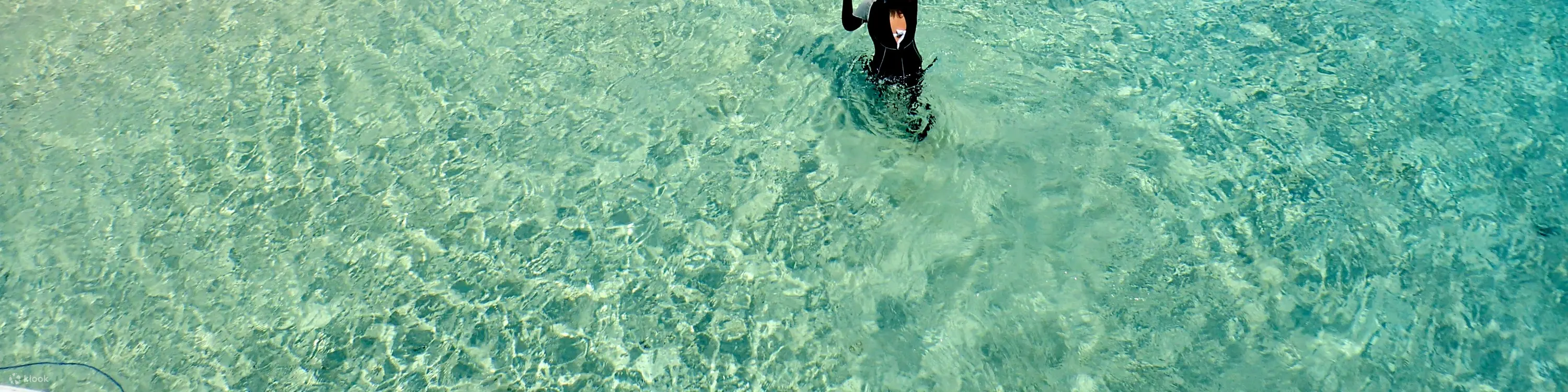 半天奇妙岛屿登陆和浮潜体验（免费租用 GoPro）（石垣岛）