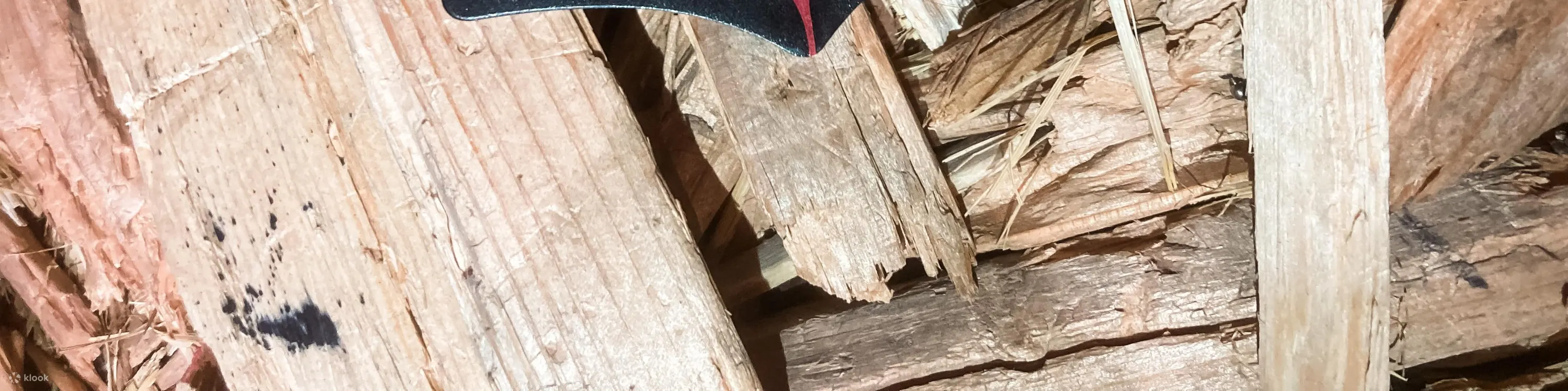 非凡的地方！东京浅草的斧头投掷和水烟酒吧