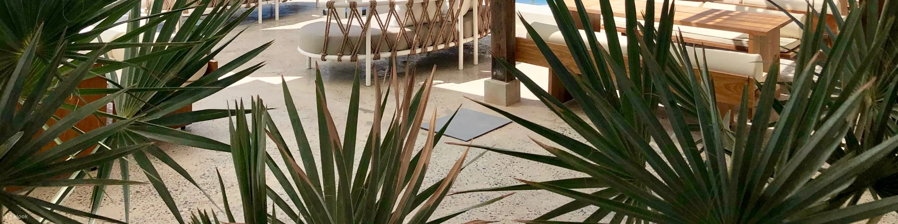 华欣圣丹斯电影节