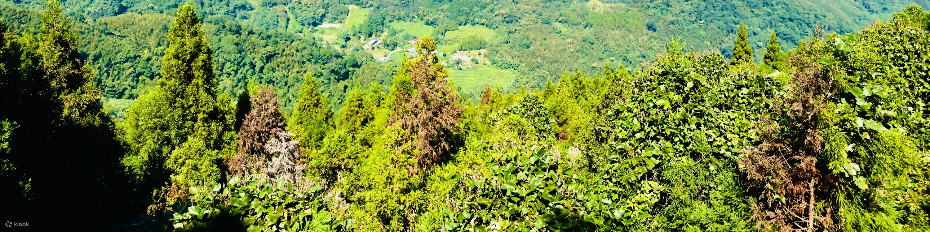 观星赏月营地 日景