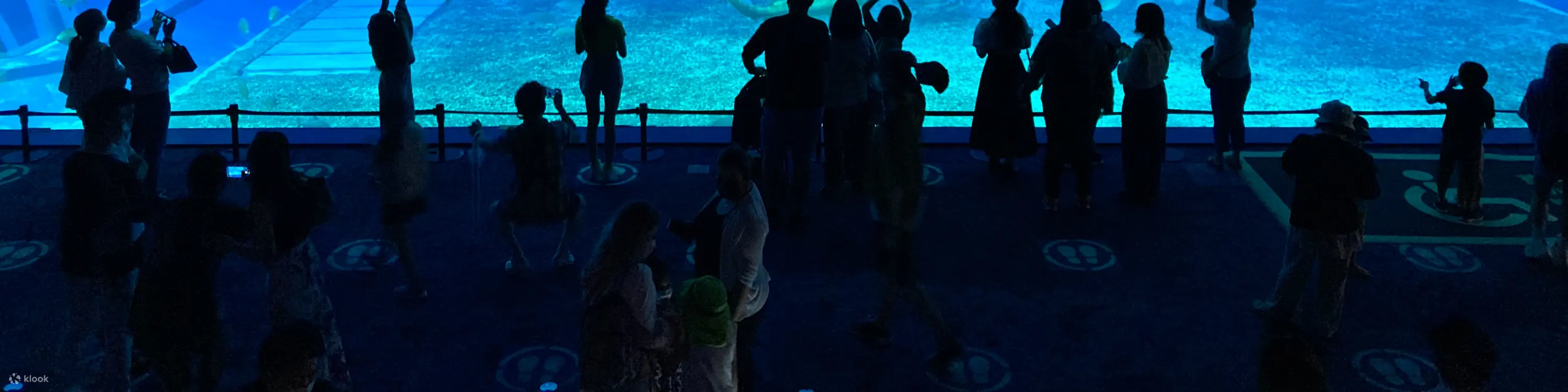 冲绳水族馆