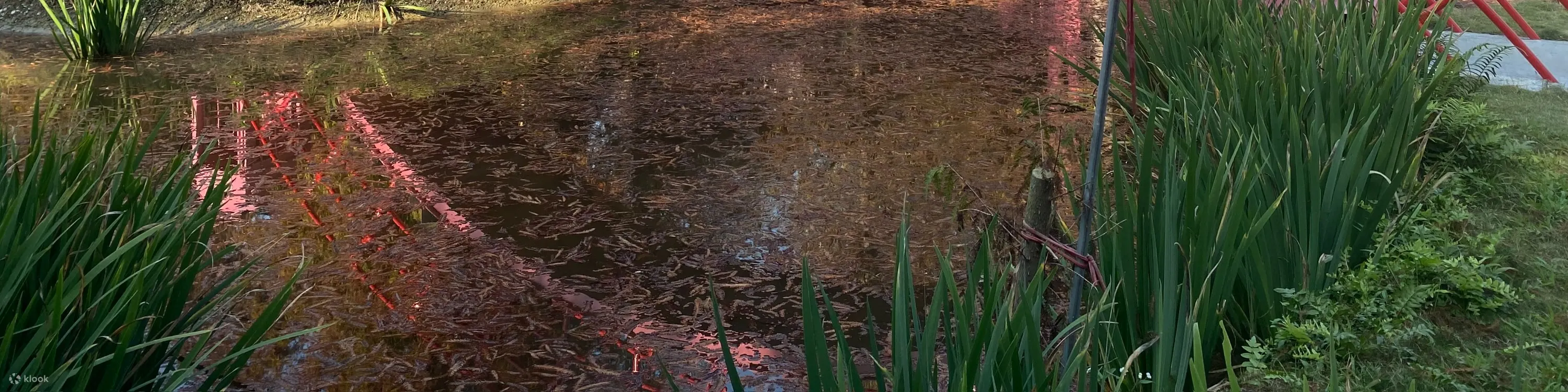 珍 粉红城堡 鹿角村