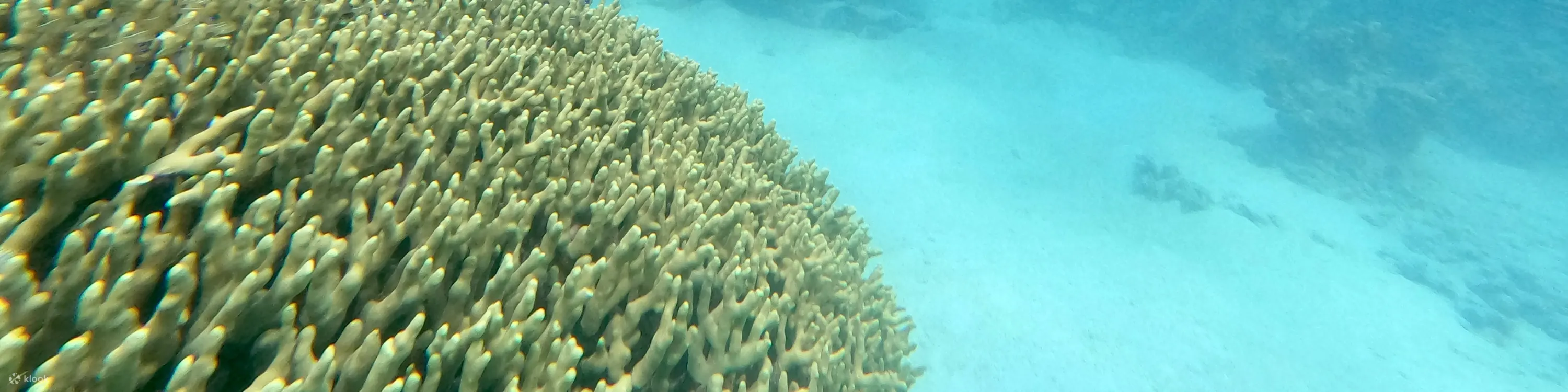 关岛水肺潜水和立式桨板课程