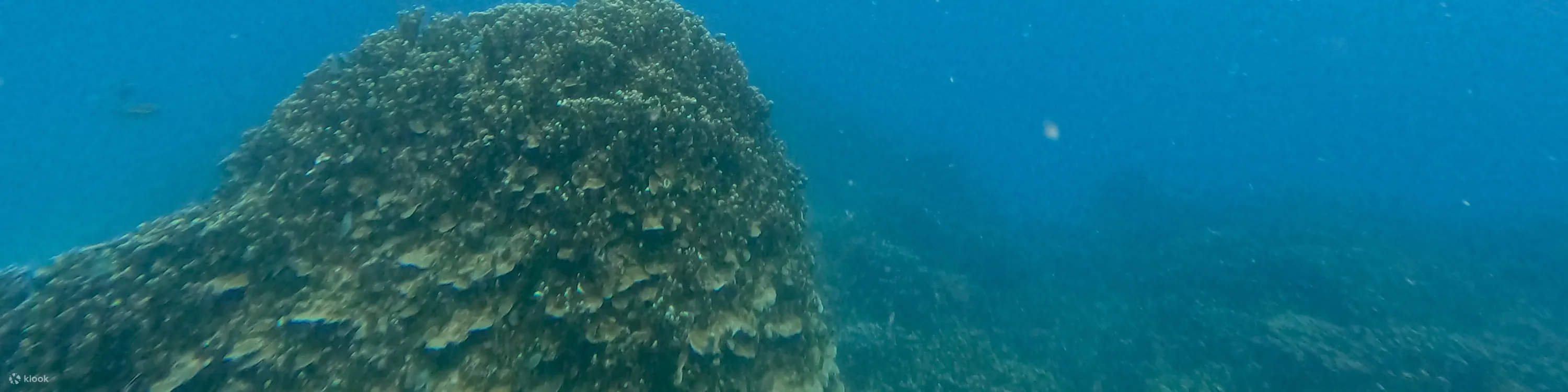 关岛水肺潜水和立式桨板课程
