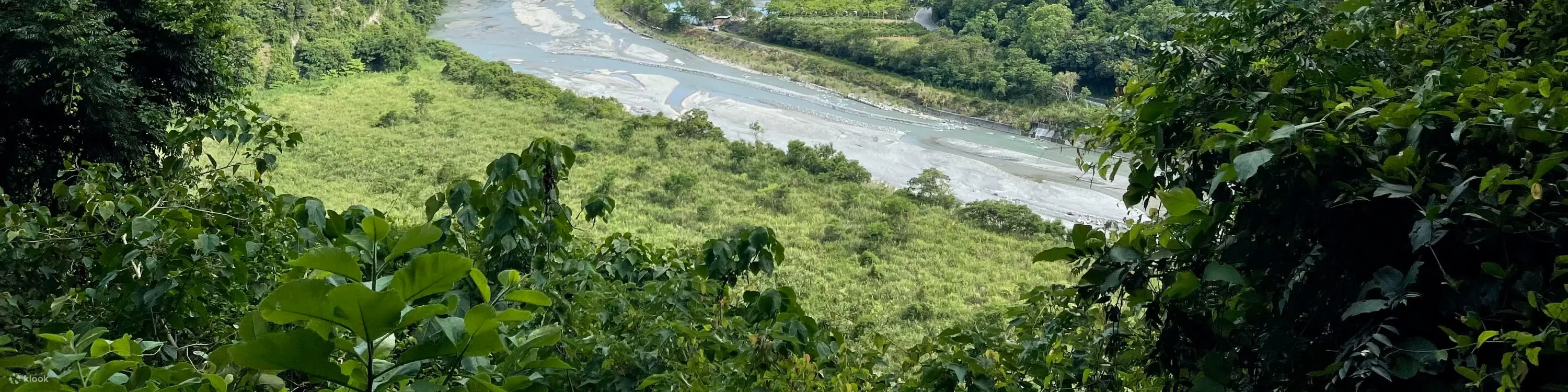 黑熊森林踏查｜台湾黑熊栖地生态解说一日游