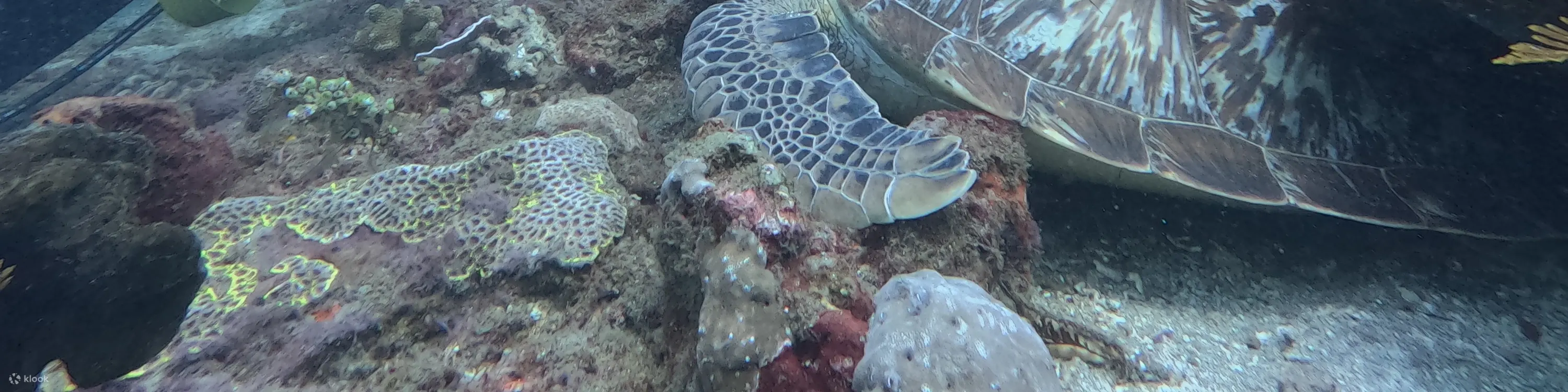 水肺潜水