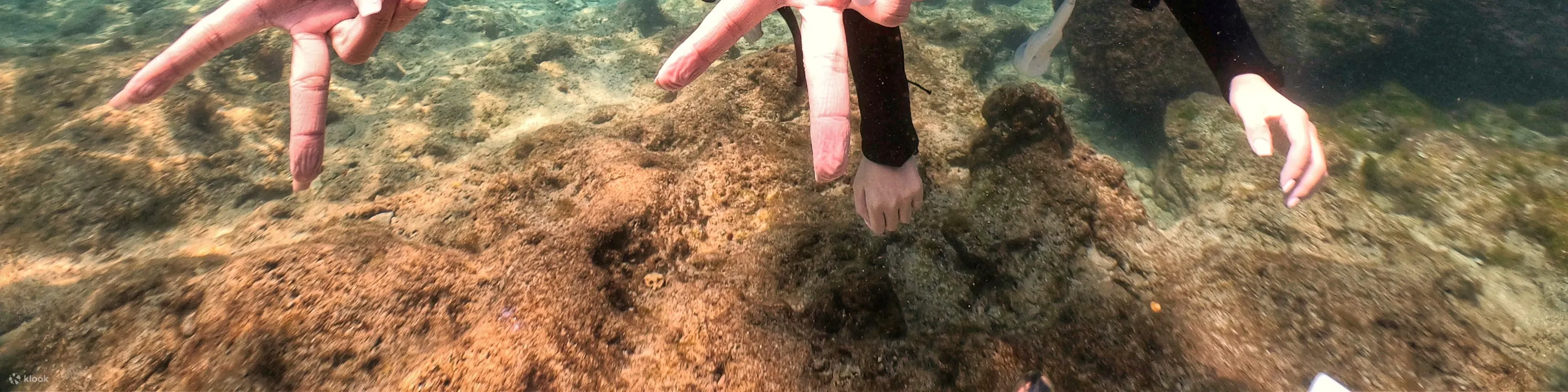 小琉球浮潜: 波赛顿海洋运动俱乐部 - 浮潜体验