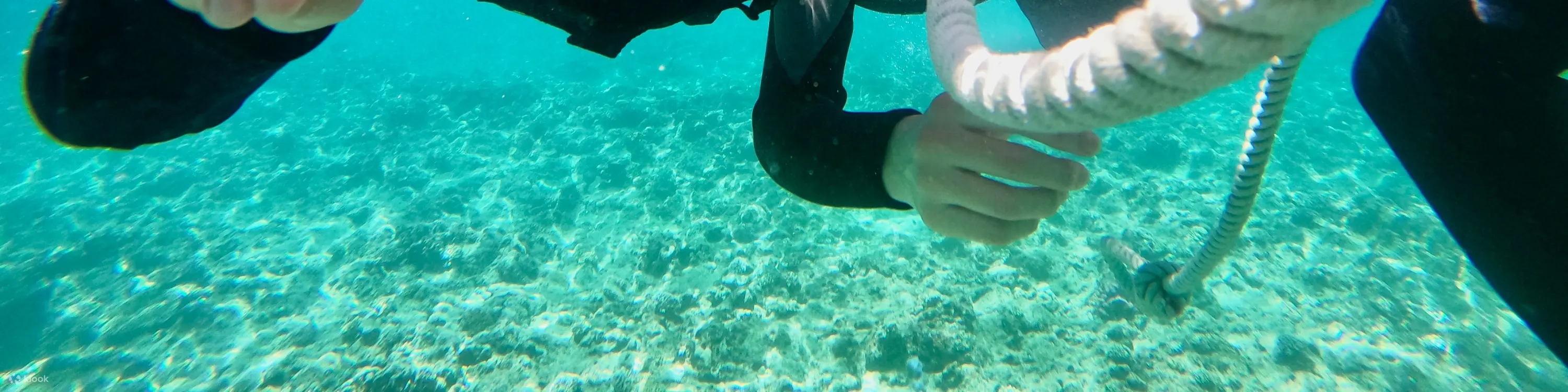 冲绳青之洞窟浮潜和潜水
