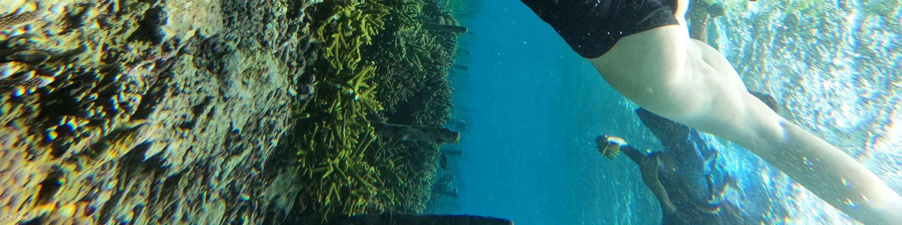 努萨佩尼达岛浮潜