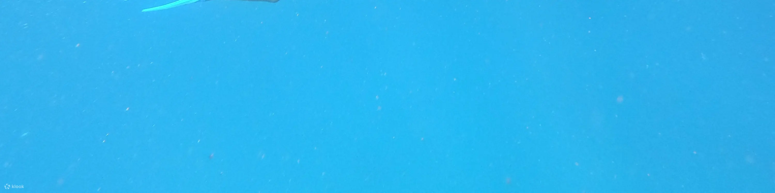 蓝梦岛活动浮潜点