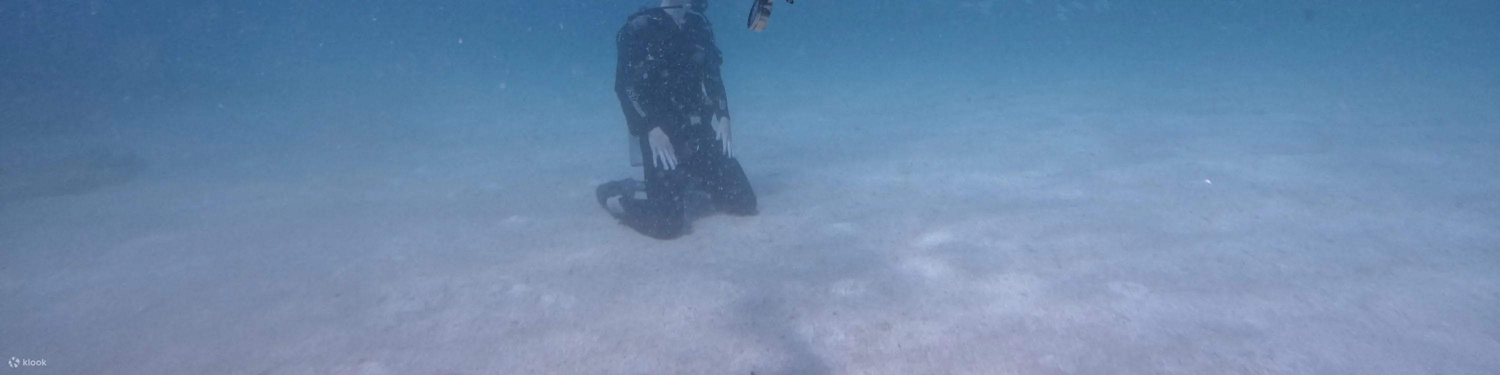 从迪拜出发：水肺潜水和浮潜，含烧烤午餐