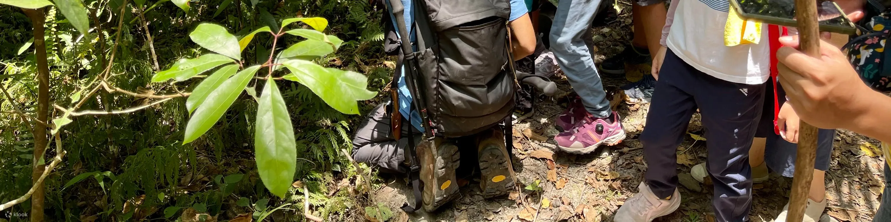黑熊森林踏查｜台湾黑熊栖地生态解说一日游