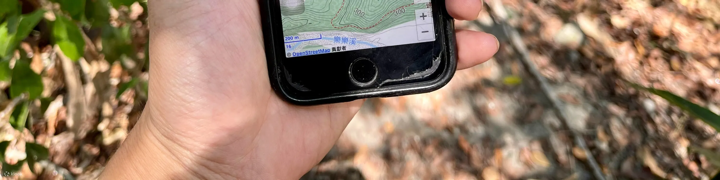 黑熊森林踏查｜台湾黑熊栖地生态解说一日游