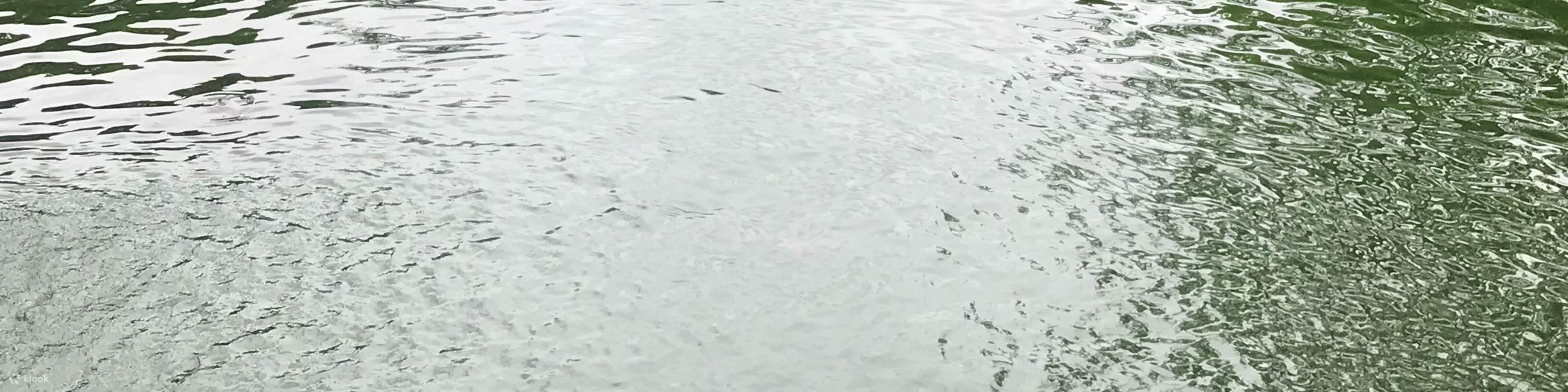 Sai Kung Discovery Tour (Visit Lions Nature Education Centre, Sai Kung