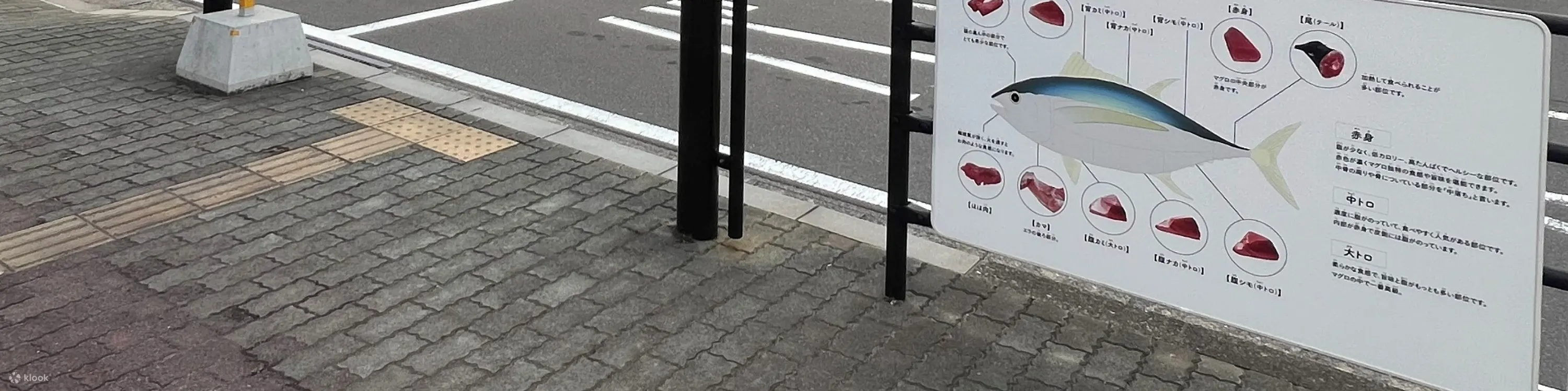 日本盐灶美食之旅顶级金枪鱼和寿司之乡