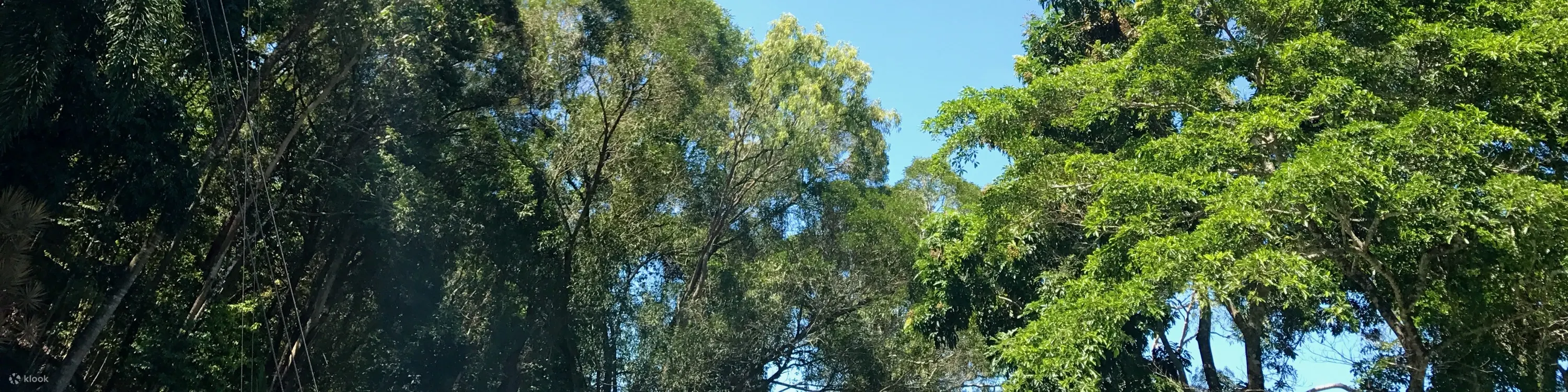 凯因斯巨型秋千