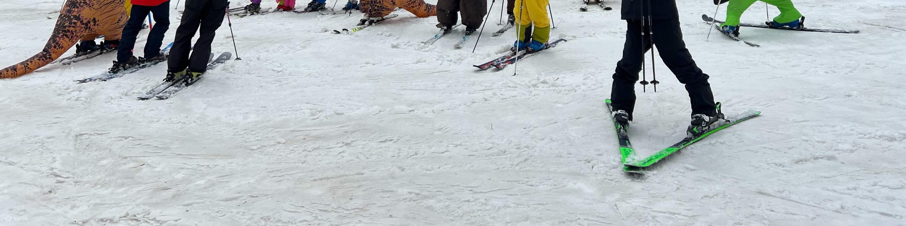 北海道｜札幌国际滑雪场中英文私人滑雪教练课程2.5/6小时