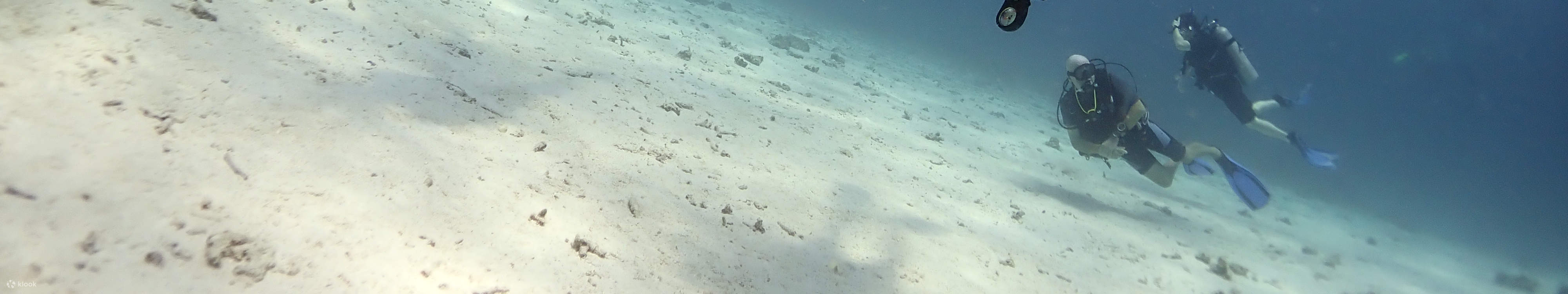 Open Water Diver in Phuket PADI 5 Star Dive Center Klook India
