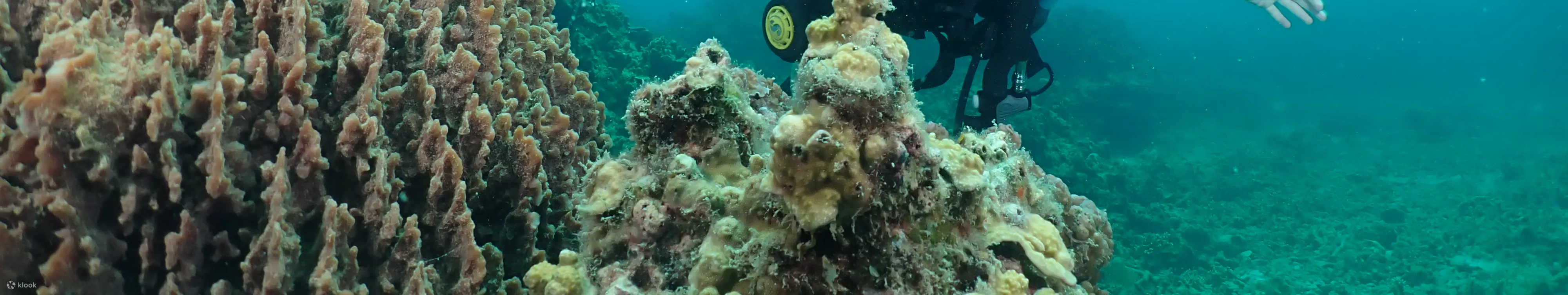 探索水肺潜水
