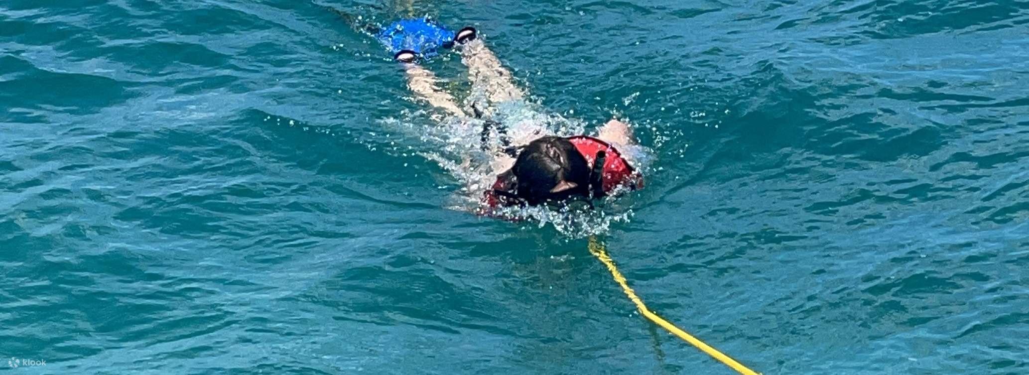 Half Day Snorkelling Trip in Florida with PADI Dive Boat Klook