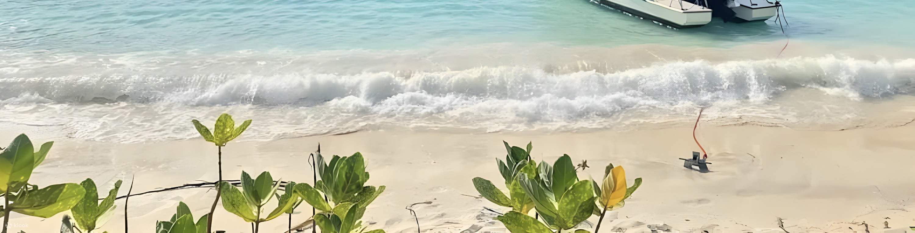 快艇私人旅游