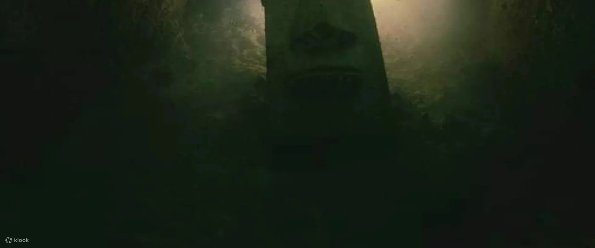 透过高氧潜水员课程，在莫阿尔博阿开启新的探险深度 - 潜水员可以在这里享受更长的水底时间和丰富的水下体验。