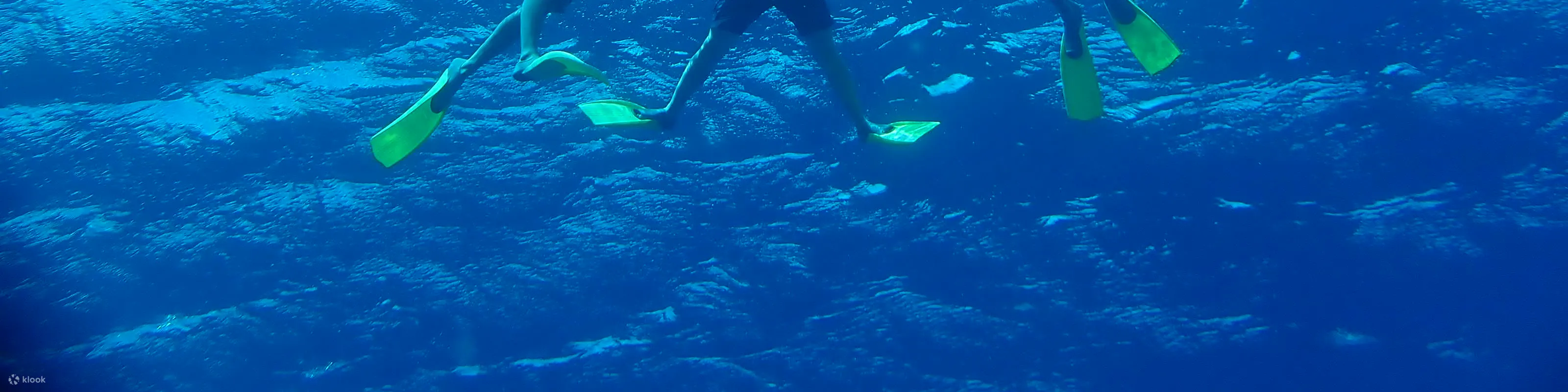 皮划艇海龟浮潜