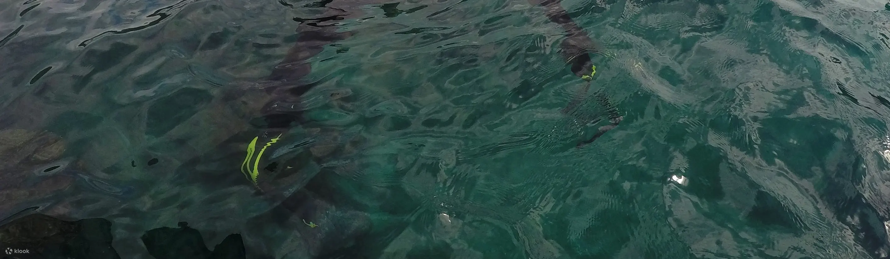 巴东拜两次潜水