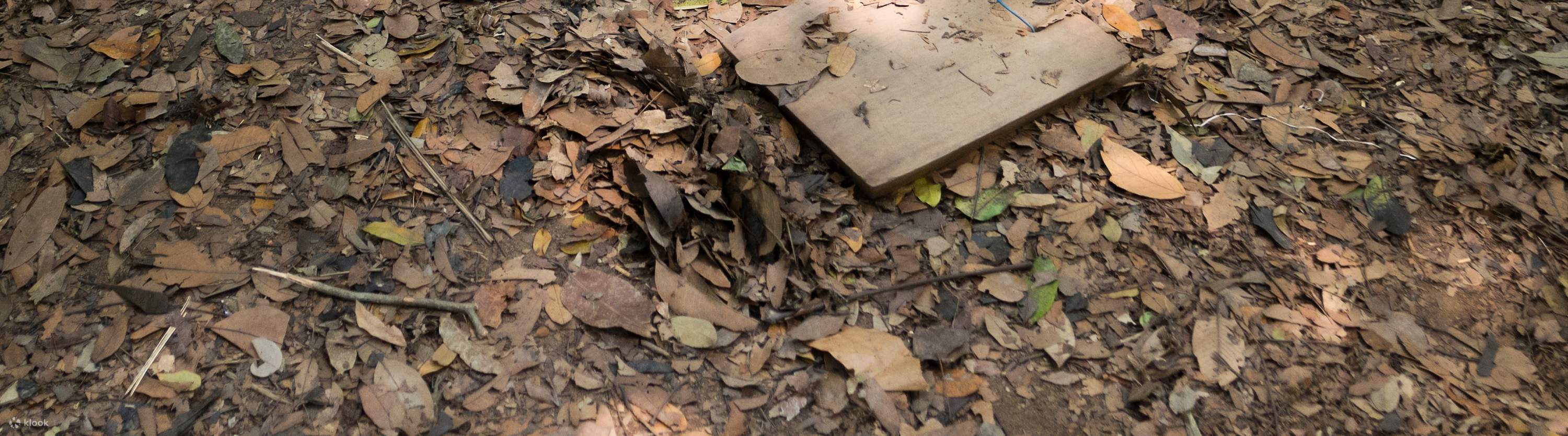 Cu Chi Tunnels Through the Eyes of a War Veteran Half Day Tour