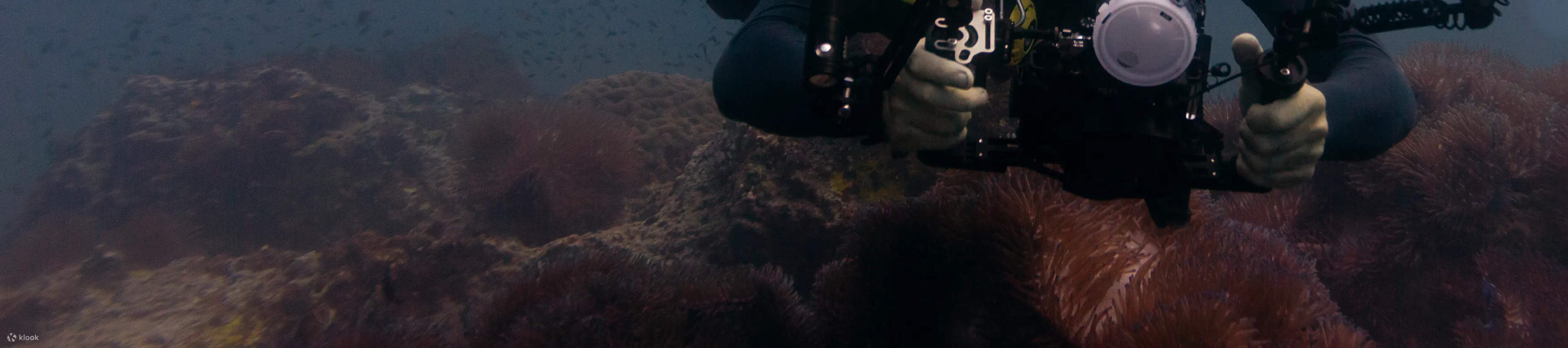 PADI 高级开放水域潜水员
