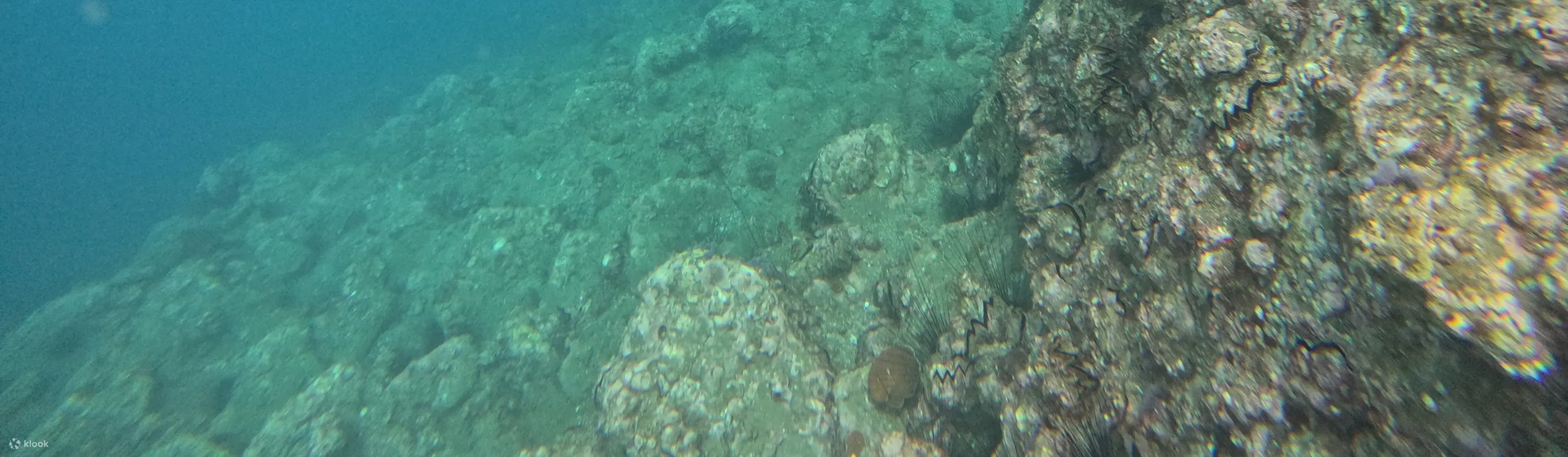 boatdiving-Discovering scuba diving,fundiving